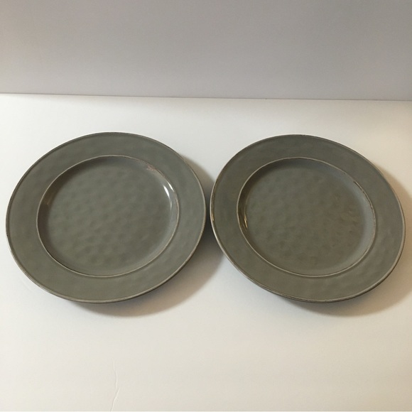 2 Pier 1 Imports Martillo Fog Stoneware Round Dinner Plates - Picture 1 of 16